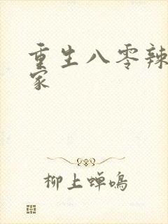 重生八零辣妻当家