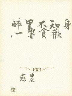 醉里不知身是客,一响贪欢