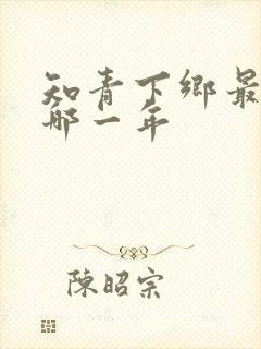 知青下乡最后是哪一年