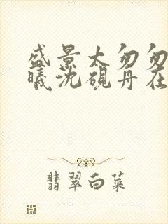 盛景太匆匆宁若曦沈砚舟在线阅读