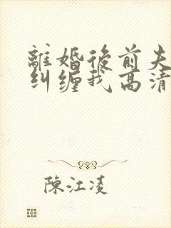 离婚后前夫总想纠缠我高清封面