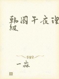 韩国午夜理伦三级