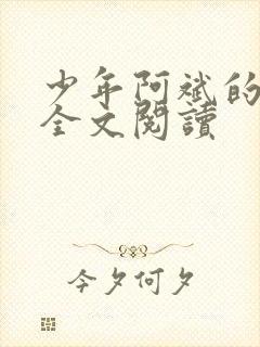 少年阿斌的故事全文阅读