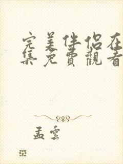 完美伴侣在线全集免费观看电视剧