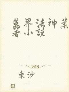 万界法神叶玄原著小说