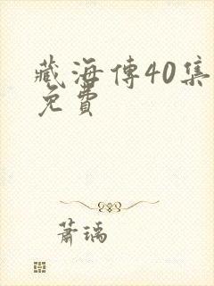 藏海传40集全免费