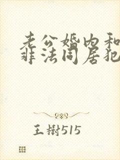 老公婚内和别人非法同居犯法吗