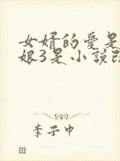 女婿的爱是丈母娘3是小说改编吗