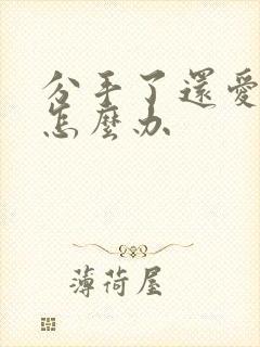 分手了还爱着她怎么办封面