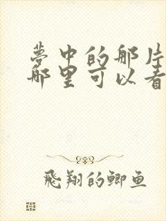 梦中的那片海在哪里可以看全集封面