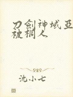 刀剑神域亚丝娜被桐人封面