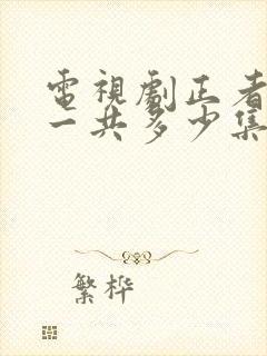 电视剧正者无敌一共多少集