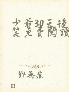 少爷30天后会笑免费阅读全文