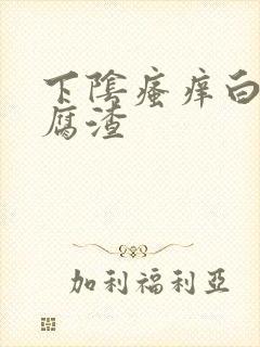 下阴瘙痒白带豆腐渣