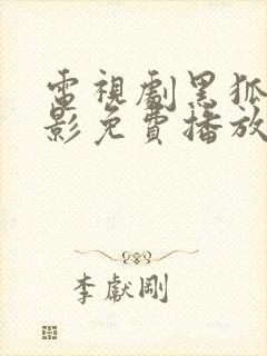 电视剧黑狐之风影免费播放