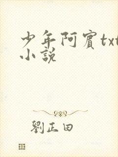 少年阿宾txt小说