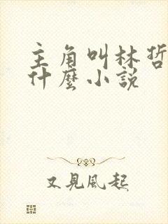 主角叫林哲的是什么小说封面