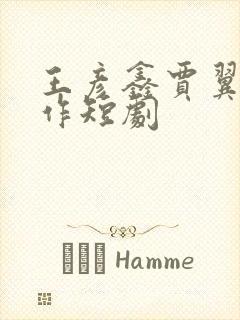 王彦鑫贾翼瑄合作短剧