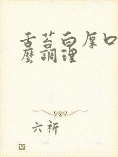 舌苔白厚口苦怎么调理