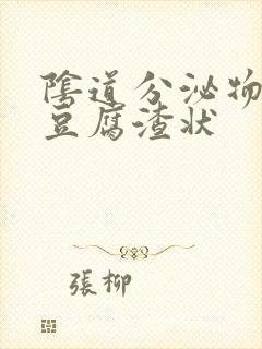 阴道分泌物黄色豆腐渣状