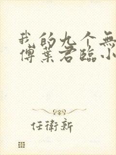 我的九个无敌师傅叶君临小说