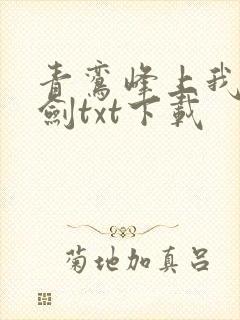 青鸾峰上我有一剑txt下载