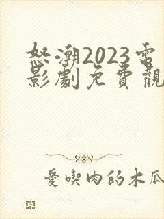 怒潮2023电影剧免费观看全集封面