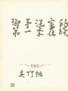 御手洗家的墙洞第一季在线观看