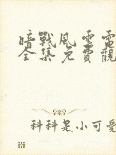 暗战风云电视剧全集免费观看高清