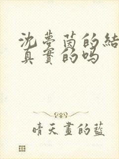 沈梦茵的结局是真实的吗