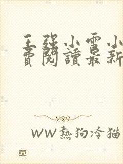 王强小雪小说免费阅读最新章节更新时间封面