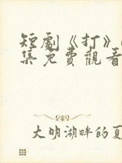 短剧《打》63集免费观看