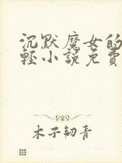 沉默魔女的秘密轻小说免费阅读封面