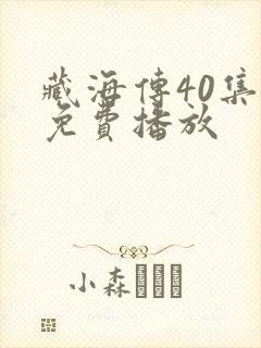 藏海传40集全免费播放封面
