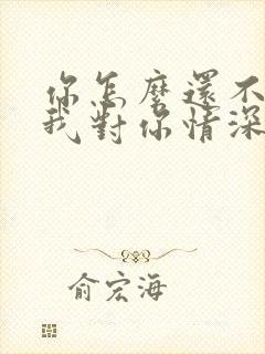 你怎么还不明白我对你情深似海歌曲