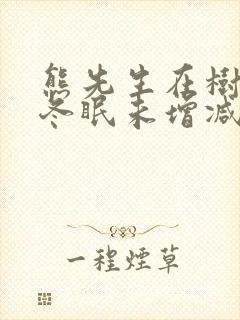 熊先生在树林里冬眠未增减封面