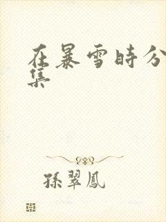 在暴雪时分多少集封面