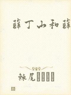 薛丁山和薛仁贵