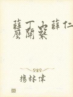 薛丁山薛仁贵什么关系