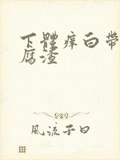 下体痒白带呈豆腐渣