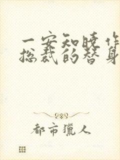 一安知晓作品:总裁的替身前妻封面