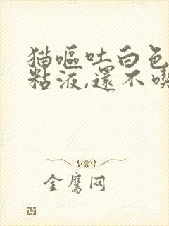 猫呕吐白色泡沫粘液,还不吃东西怎么办