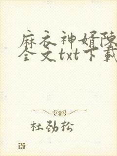 麻衣神婿陈黄皮全文txt下载封面