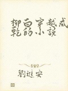 柳白穿越成李承乾的小说