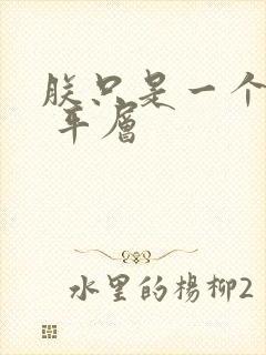 朕只是一个演员 平层