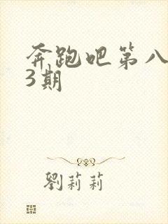 奔跑吧第八季第3期