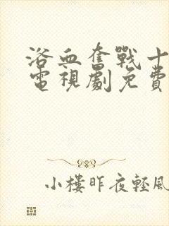 浴血奋战十四年电视剧免费观看封面