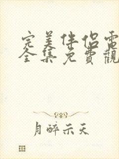 完美伴侣电视剧全集免费观看封面