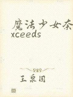 魔法少女奈叶exceeds