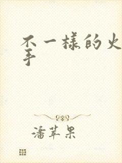 不一样的火影纲手